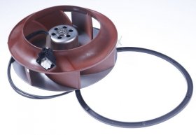 Airforce Motor - Motor