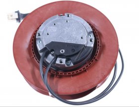 Arpa Motor - A28767-0 Hood Motor