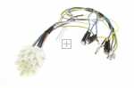 Harness - 49012615 Thermostat Harness [Candy Hoover]