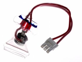 Switch - 140205243011 Switch door reed [Electrolux Aeg]