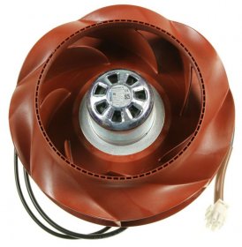 Airforce Motor - Motor