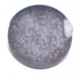 Magnet - 2980080200 C00875548 Magnet [Arcelik]